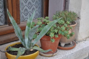 Window Ledge in Nimes