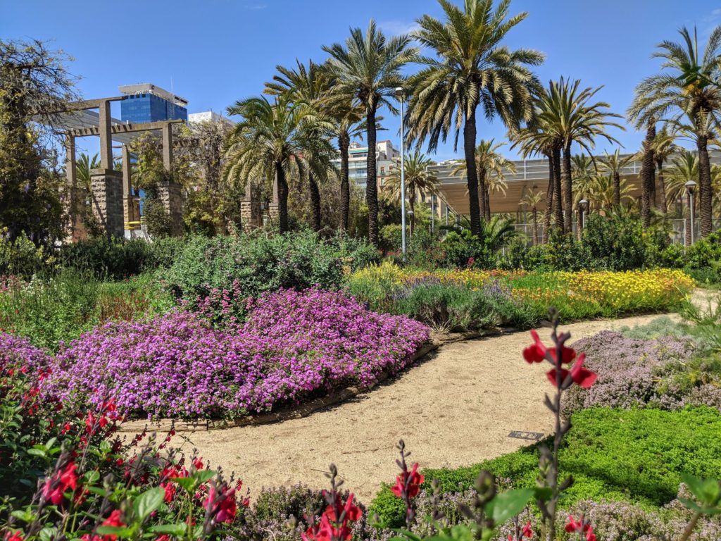 Gardens in Joan Miro Park