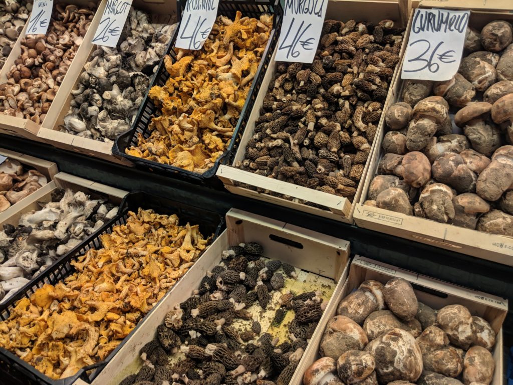 Display of wild mushrooms at La Boqueria